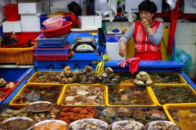 “魚去人空” 韓國(guó)海鮮市場(chǎng)遇冷，漁民憂心“飯碗”不保